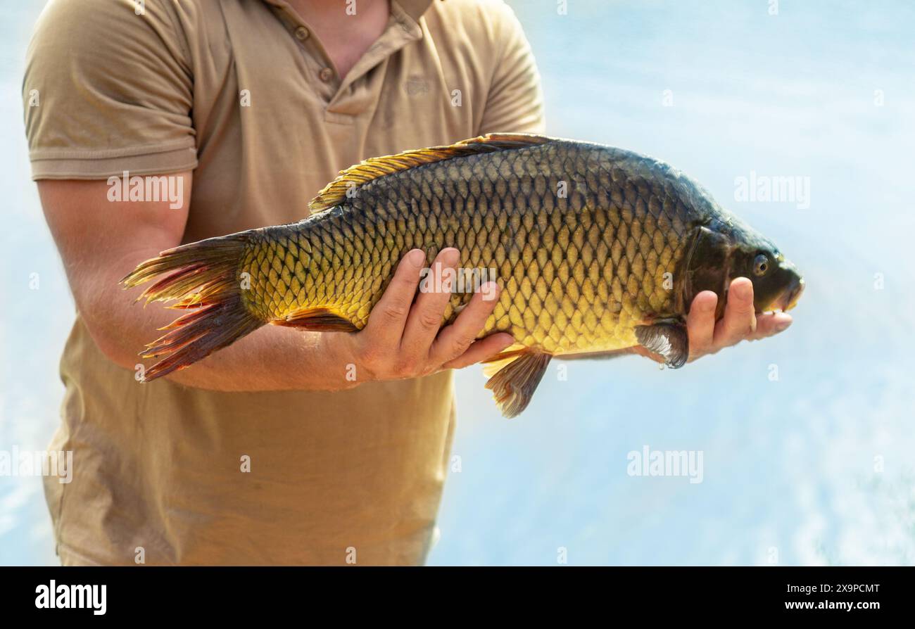 Un uomo che pesca con una carpa in mano. Foto in natura. Foto di alta qualità Foto Stock