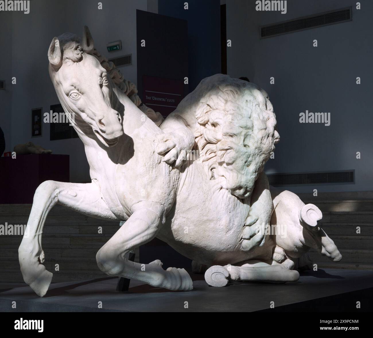 Una statua in marmo dell'antica Roma con un cavallo attaccato da un leone Foto Stock