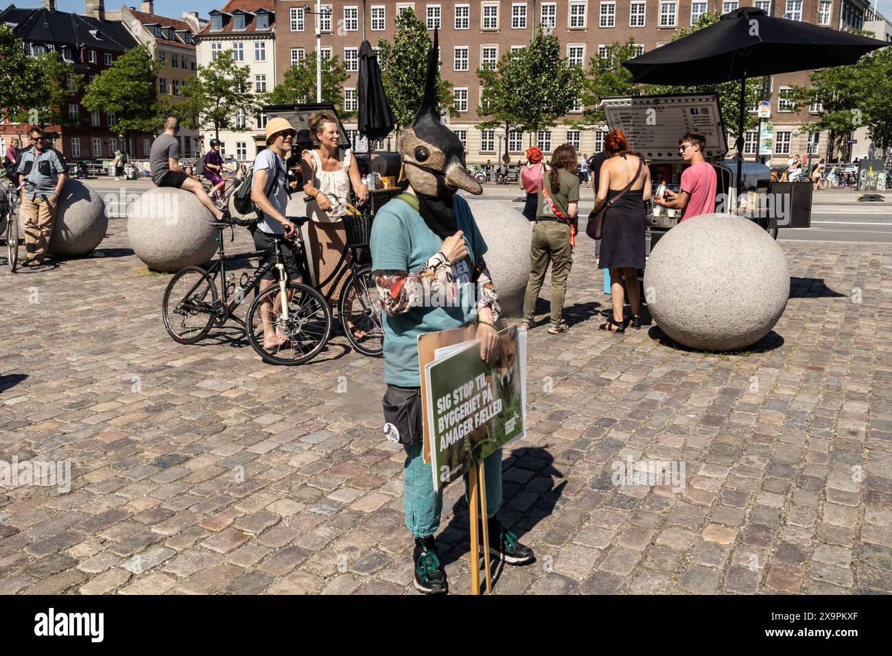si parla a copenaghen cruciverba