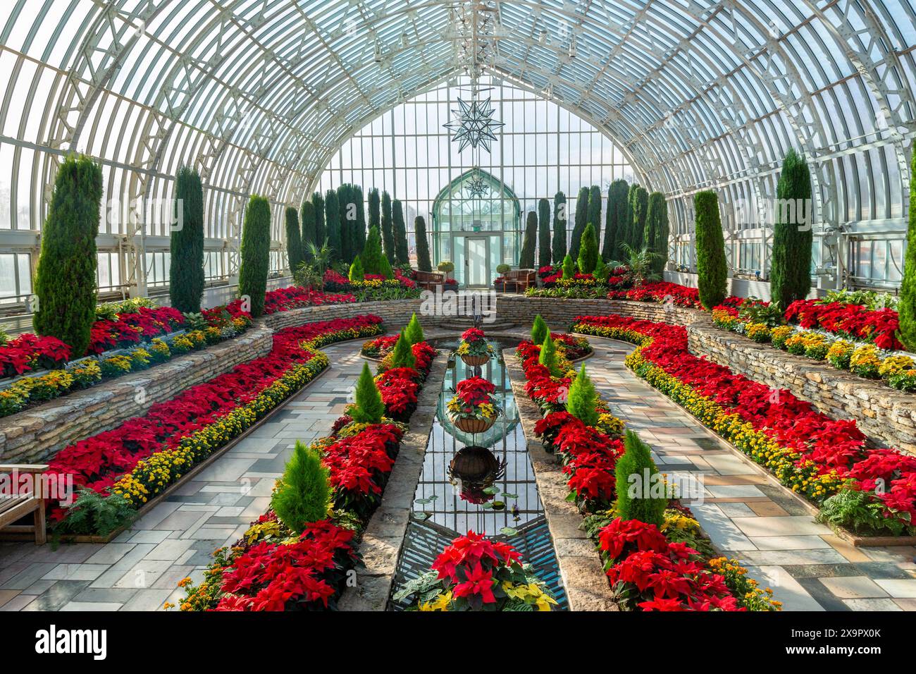 La luce del sole mattutino con una mostra stagionale di fiori di punta rossa al Como Park Marjorie McNeely Conservatory di Saint Paul, Minnesota Foto Stock