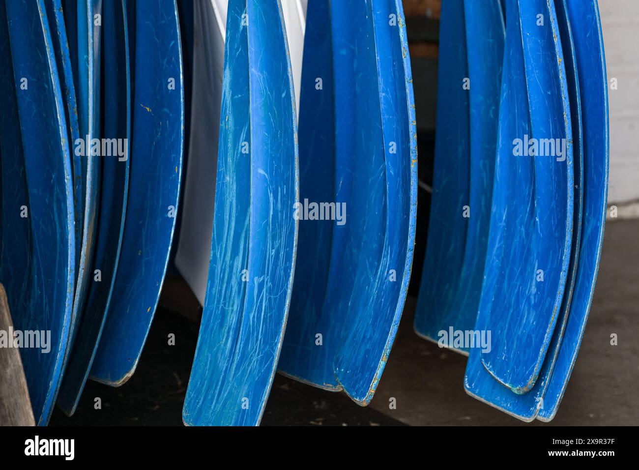 Pagaie blu o remi per lo sport di canottaggio con graffi sulla vernice durante l'allenamento per gare e regate, attenzione selezionata Foto Stock