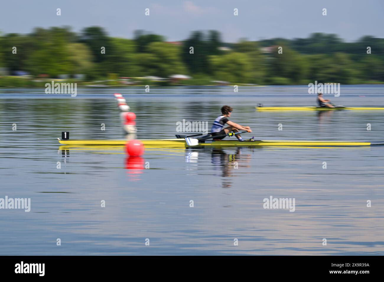 Il concorrente di canottaggio a singolo scull in una barca sportiva attraversa per primo il traguardo e vince la regata su un lago, panning shot con movimento sfocato, copia spazio Foto Stock