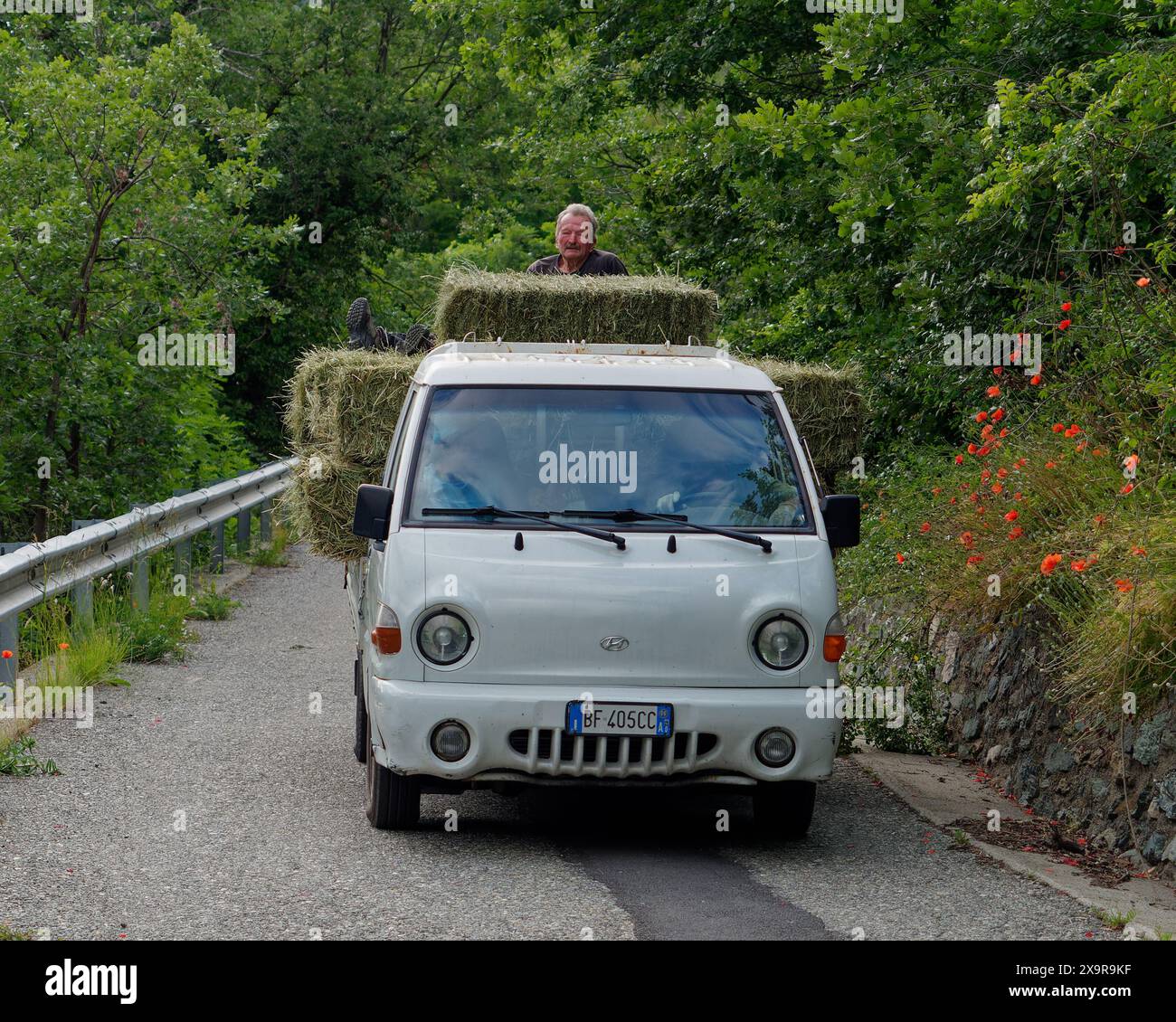 L'uomo siede feetup su balle di fieno in cima a un furgone che viene guidato su una strada di campagna vicino a Nus nella Valle d'Aosta, NW Italia. 2 giugno 2024 Foto Stock