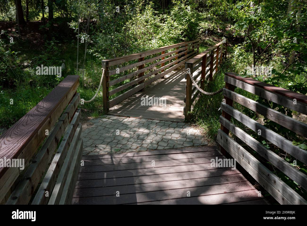 Parco a Boise, Idaho, con sentiero artificiale Foto Stock