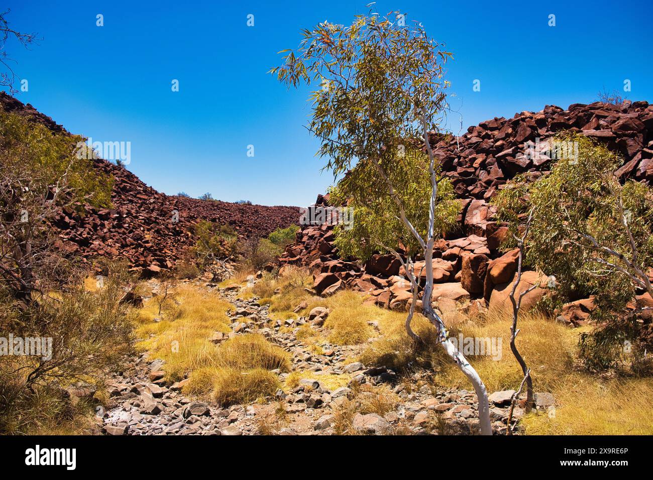 Ngajarli («Deep Gorge»), Murujuga, Penisola di Burrup, Karratha, uno dei siti più importanti di petroglifi aborigeni nell'Australia occidentale Foto Stock