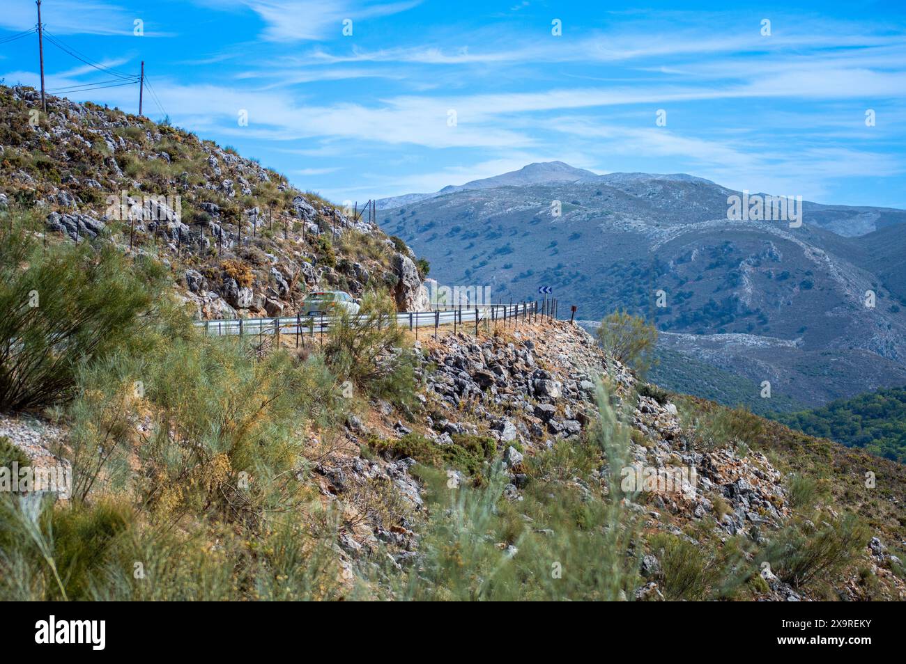 Strada nel Parco Nazionale della Sierra de las Nieves, Andalusia, Spagna meridionale Foto Stock