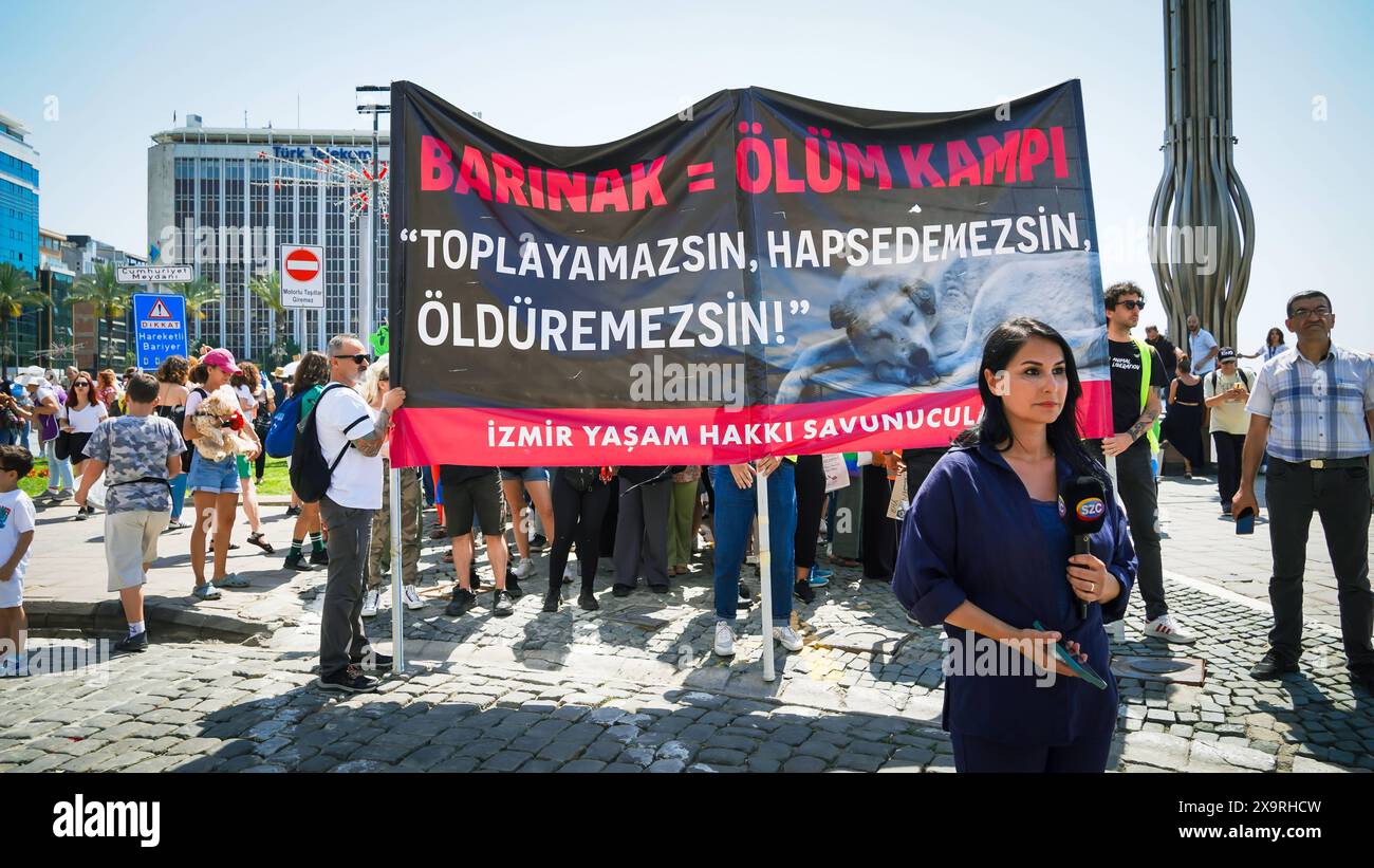 Gli attivisti per i diritti degli animali hanno tenuto una manifestazione in tutta la Turchia oggi gli attivisti per i diritti degli animali si sono riuniti in molte province della Turchia e hanno protestato contro i cambiamenti che sta pianificando di apportare alla legge sulla protezione degli animali . Iniziative, sostenitori dei diritti degli animali e l'Associazione degli avvocati di Izmir hanno parlato al raggruppamento della giustizia e si sono opposti alla legge. Se la legge sarà adottata, i cani randagi la cui popolazione è aumentata saranno raccolti e se non saranno adottati entro 30 giorni, saranno eliminati. Izmir Konak Turchia Turchia Copyright: XIdilxToffolox DSC06878 Foto Stock