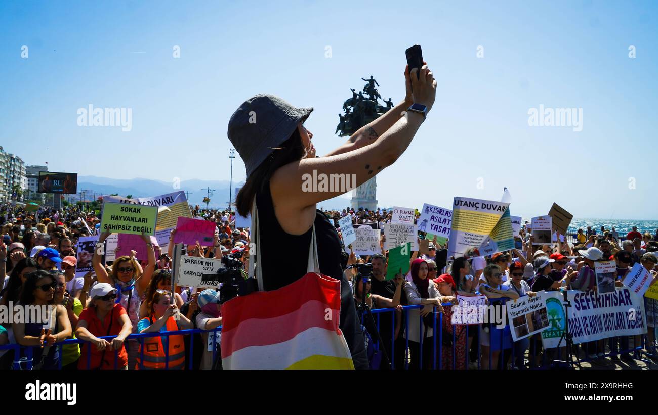 Gli attivisti per i diritti degli animali hanno tenuto una manifestazione in tutta la Turchia oggi gli attivisti per i diritti degli animali si sono riuniti in molte province della Turchia e hanno protestato contro i cambiamenti che sta pianificando di apportare alla legge sulla protezione degli animali . Iniziative, sostenitori dei diritti degli animali e l'Associazione degli avvocati di Izmir hanno parlato al raggruppamento della giustizia e si sono opposti alla legge. Se la legge sarà adottata, i cani randagi la cui popolazione è aumentata saranno raccolti e se non saranno adottati entro 30 giorni, saranno eliminati. Izmir Konak Turchia Turchia Copyright: XIdilxToffolox DSC07045 Foto Stock