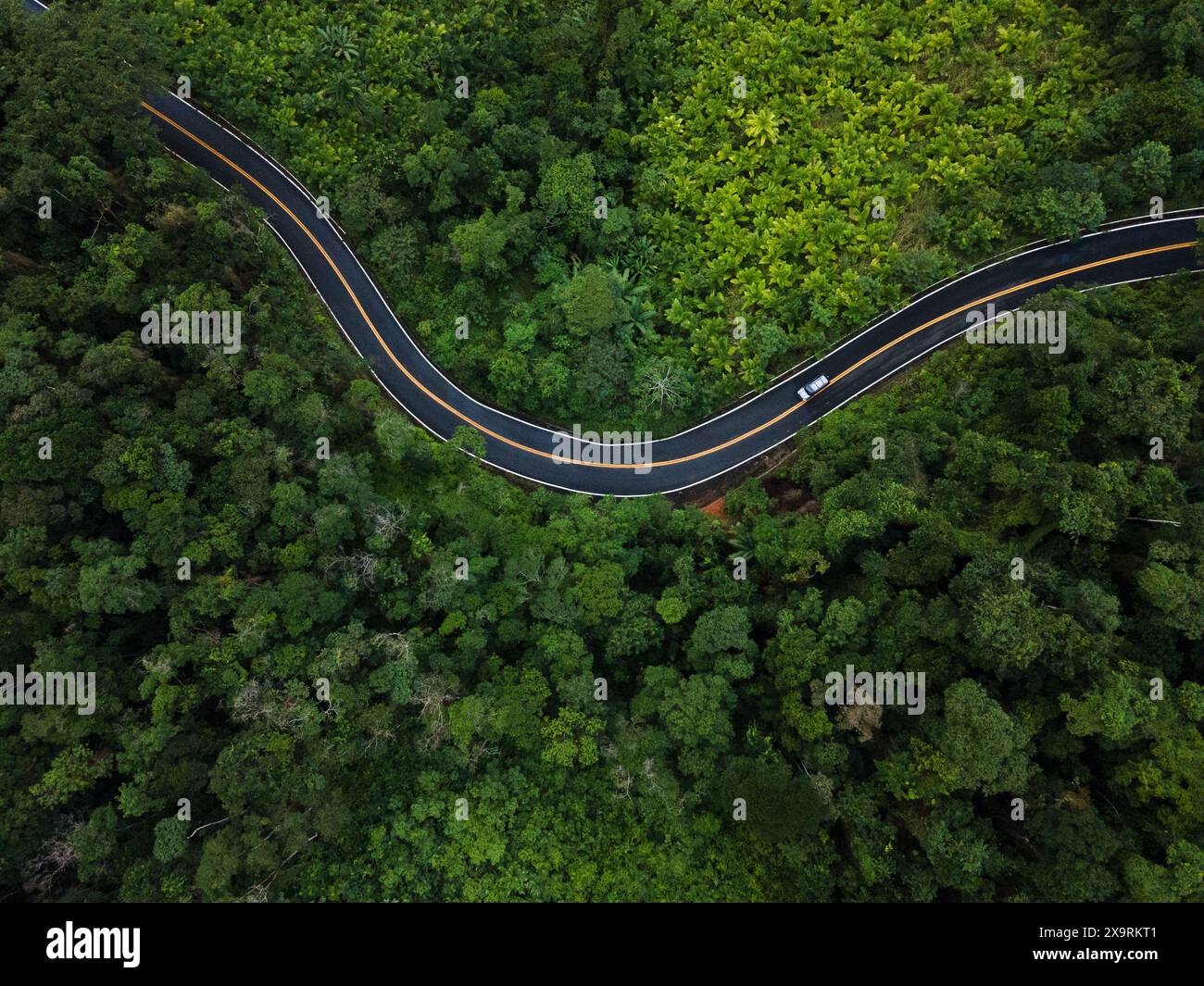 Una strada sinuosa che attraversa la foresta pluviale atlantica del Brasile orientale vicino al Parque Estadual Caverna do Diabo Foto Stock