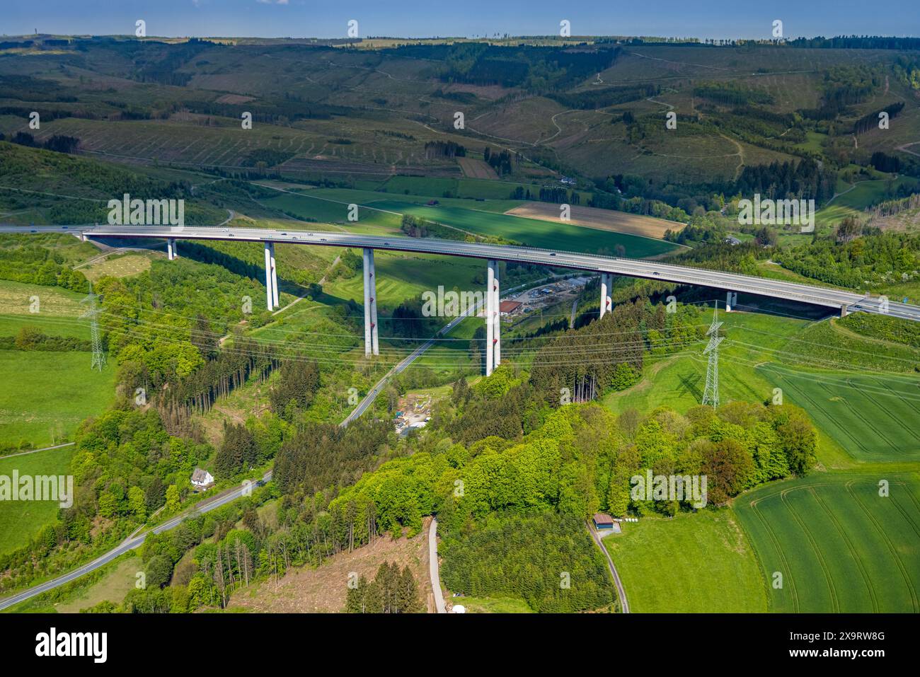 Vista aerea, autostrada A 46 ponte a valle Nuttlar, area forestale con danni forestali, Nuttlar, Bestwig, Sauerland, Renania settentrionale-Vestfalia, Germania, Aerial Foto Stock