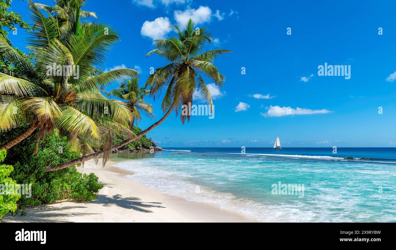 Spiaggia soleggiata con palme e barca a vela nel mare turchese Foto Stock