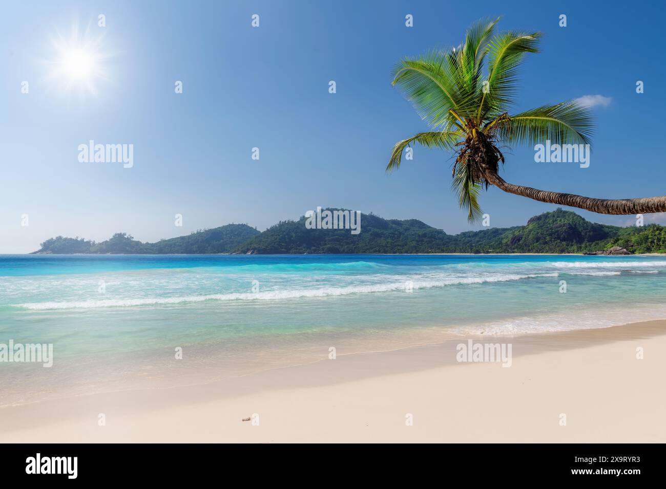 Spiaggia soleggiata con palme e mare turchese nell'isola tropicale. Foto Stock