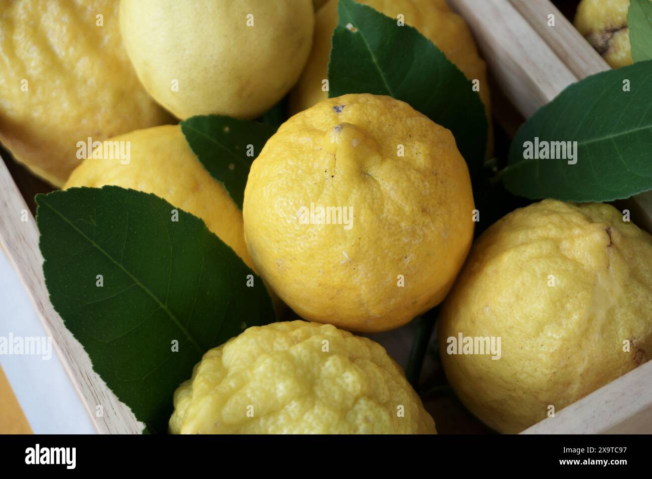 Pila di limoni freschi in scatola di legno Foto Stock