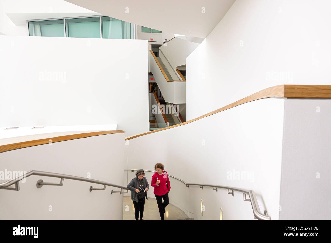 Miami Beach, Florida, centro New World Symphony NWS Center, design dell'architetto Frank Gehry, interni interni, donna donna donna donna, adulti, res Foto Stock
