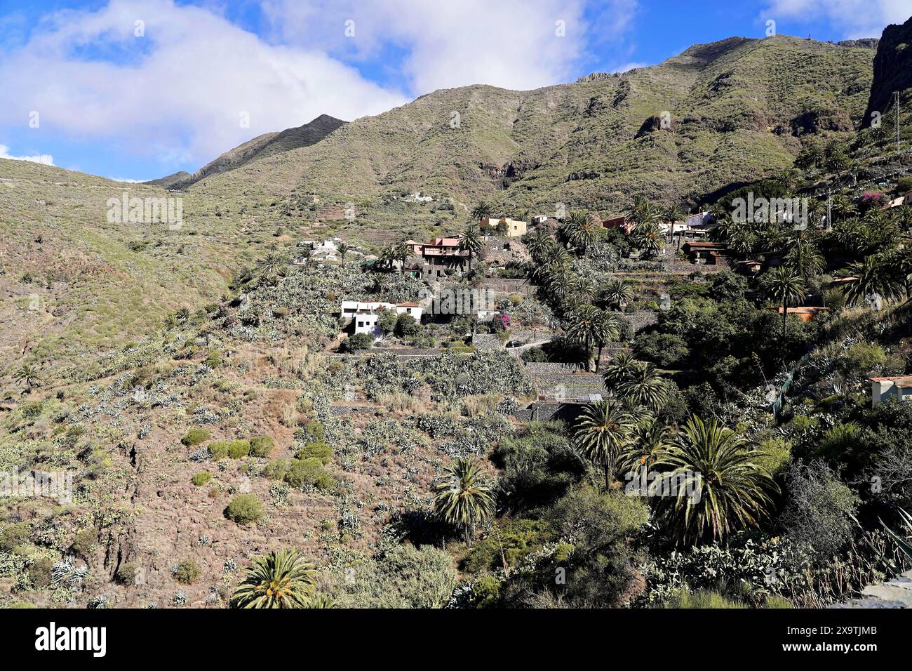 Villaggio di montagna Masca, Gola di Masca, Montagne Montana Teno, Tenerife, Isole Canarie, Spagna, Europa, paesaggio collinare, ripido con vegetazione secca e. Foto Stock