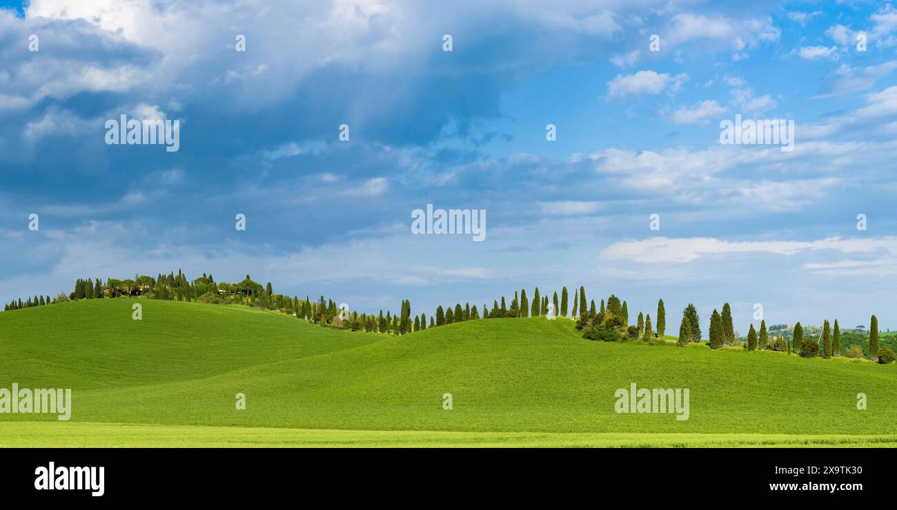 Crete Senesi, Provincia di Siena, Toscana, Italia Foto Stock