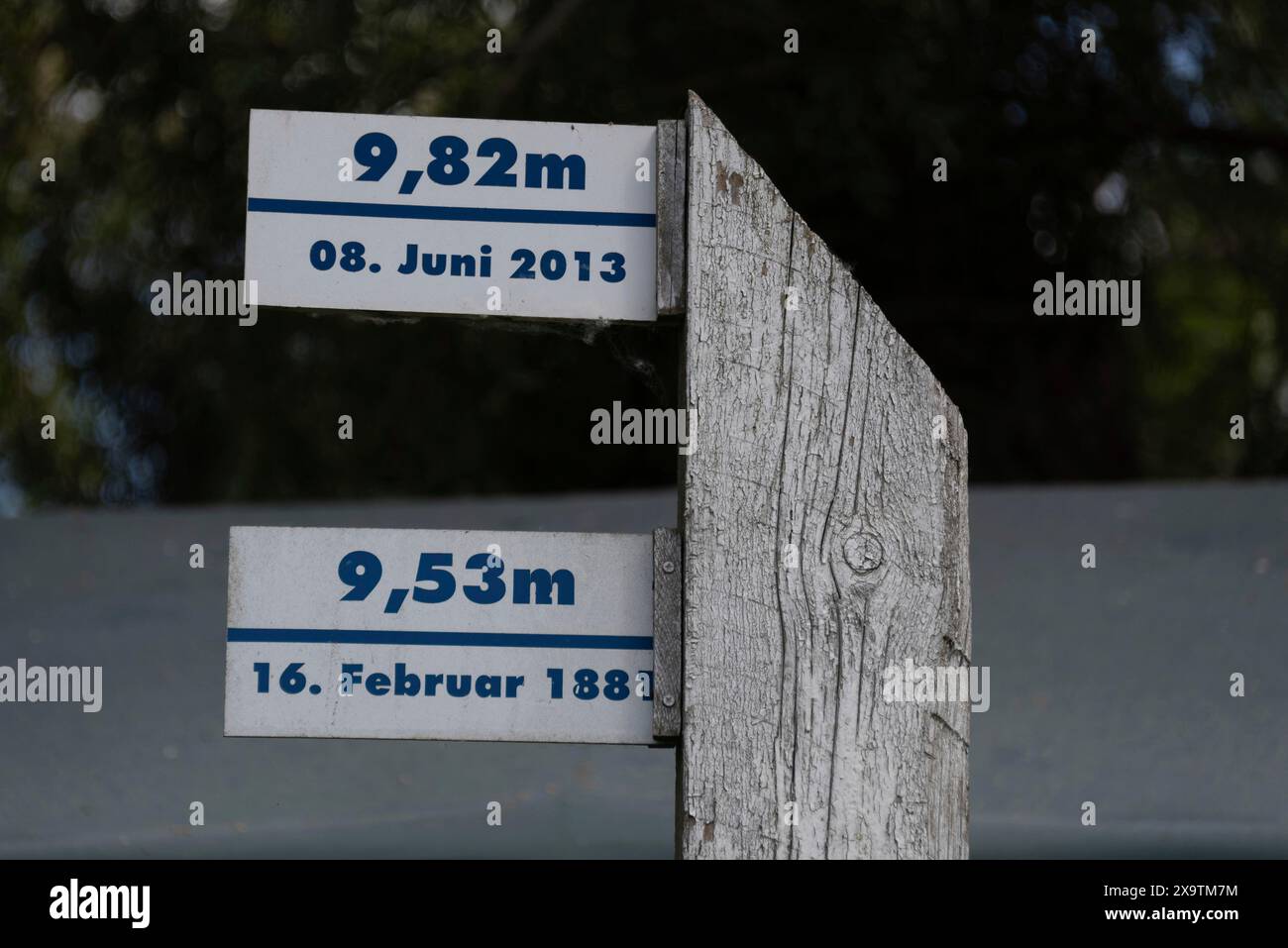 Pali in legno con segni di alluvione e livelli storici di alluvione dell'Elba, Hohenwarthe, Sassonia-Anhalt, Germania Foto Stock