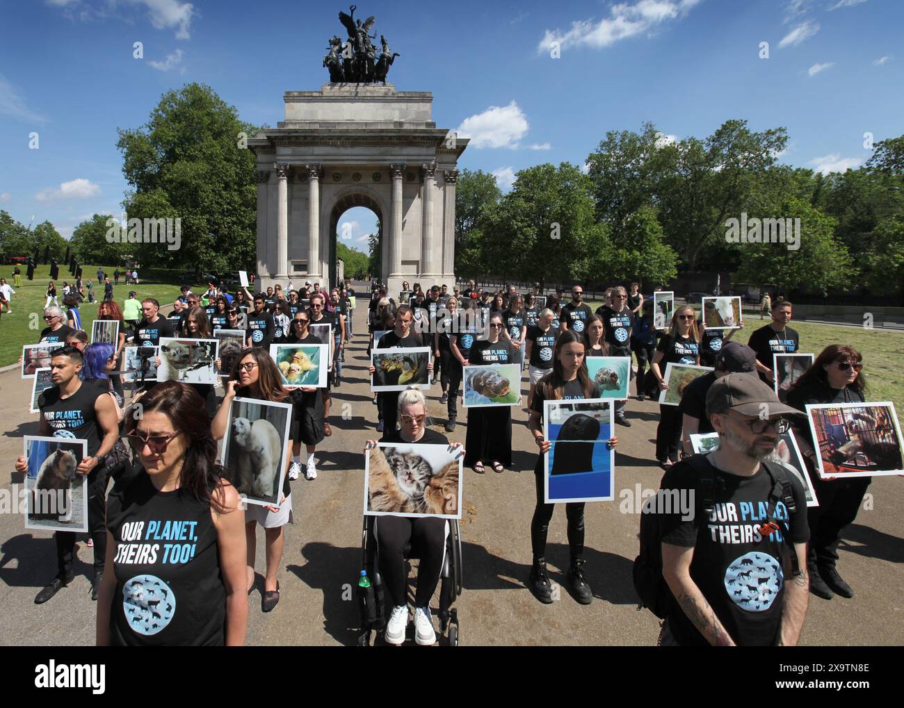 Londra, Regno Unito. 2 giugno 2024. Gli attivisti indossano t-shirt con il messaggio "Our Planet, Their Too" mentre tengono le foto degli animali durante la dimostrazione. Attivisti per i diritti degli animali si sono riuniti al Wellington Arch di Londra per il National Animal Rights Day (NARD). L'evento annuale si tiene in oltre 50 paesi in tutto il mondo. Dà voce a tutti gli animali e onora i miliardi di animali uccisi a mano umana, e incoraggia il passaggio verso un futuro vegano e vegetale. (Foto di Martin Pope/SOPA Images/Sipa USA) credito: SIPA USA/Alamy Live News Foto Stock