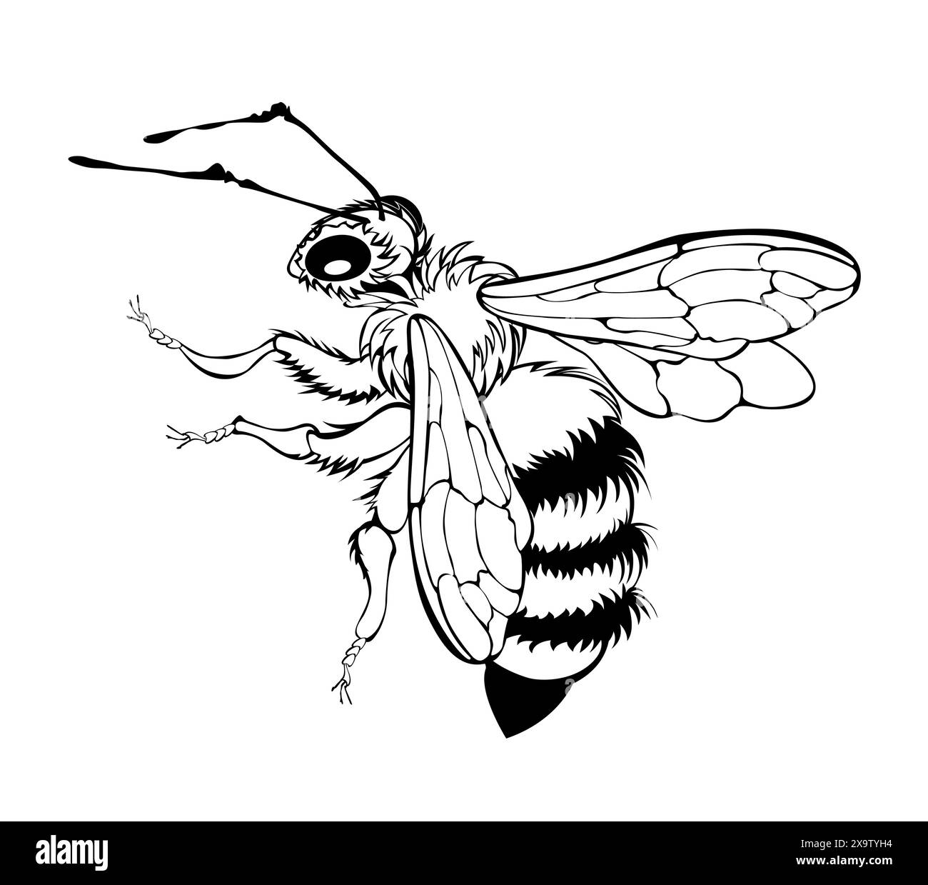 Ape disegnata artisticamente, soffice e sagomata su sfondo bianco. Illustrazione Vettoriale