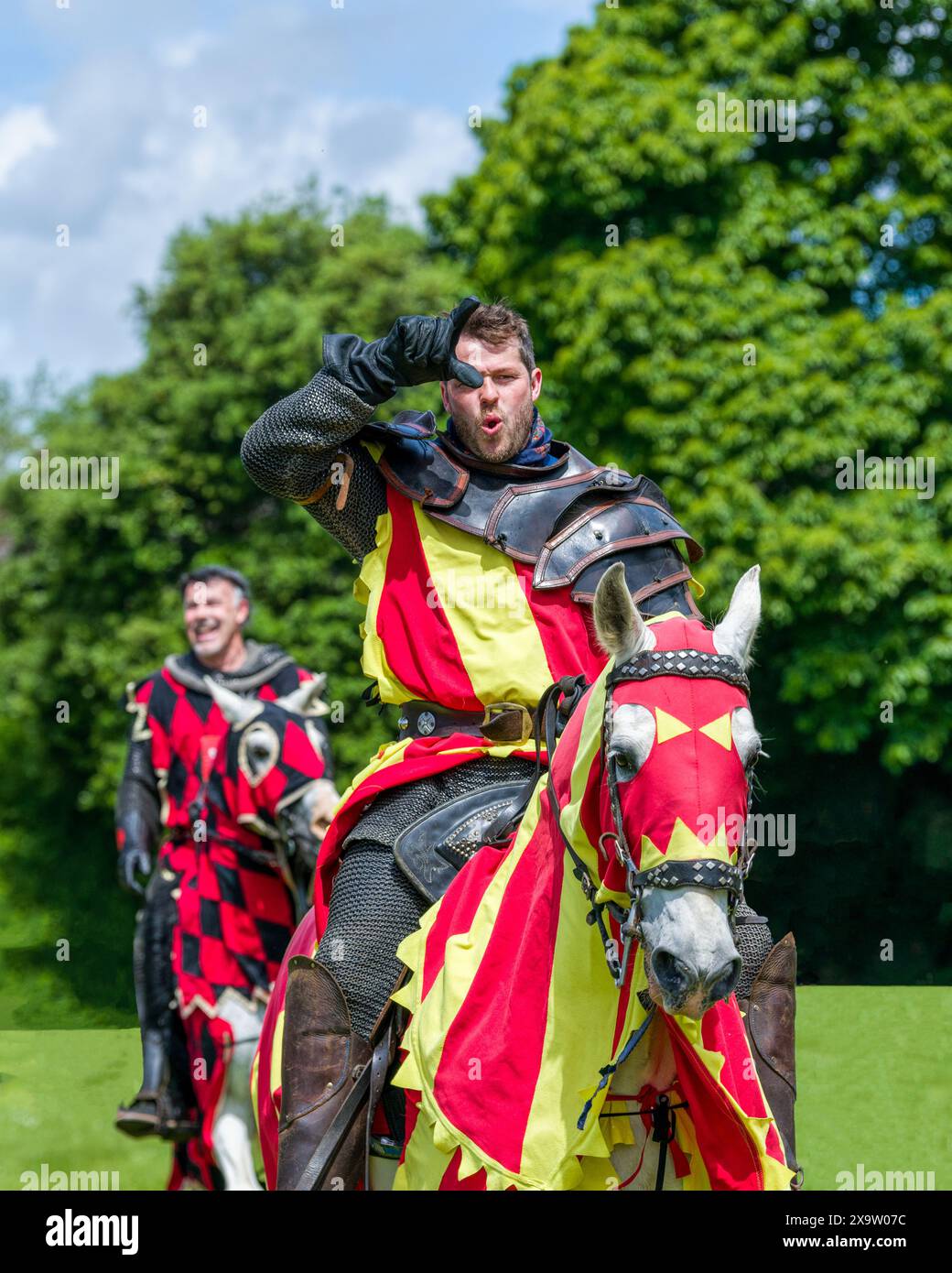 Sir Ashley fa dei gesti "perdenti" alla telecamera. The Joust, Cardiff, Regno Unito. 15 giugno 2019 Foto Stock