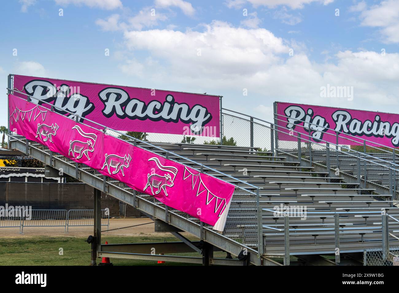 Gli spettatori della Pig Racing Foto Stock