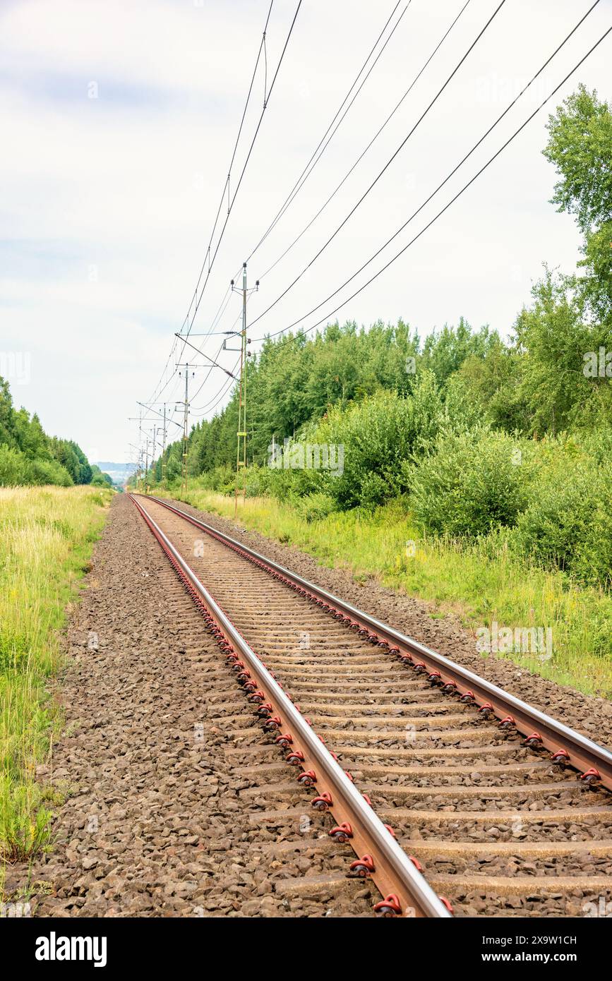 Ferrovia con fili elettrici attraverso una foresta verde decidua in estate Foto Stock