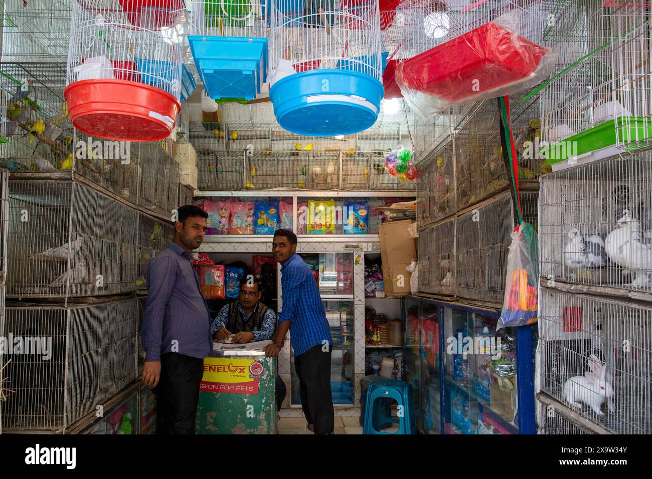 Amanti degli animali domestici in un negozio di uccelli nel mercato degli animali di Katabon a Dacca, Bangladesh. Foto Stock