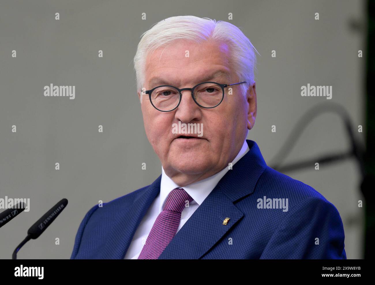 Bundespraesident Frank-Walter STEINMEIER haelt eine Rede beim Fest zum 75. Geburtstag des Grundgesetzes in der Villa Hammerschmidt a Bonn , 25.05.2024 Frank-Walter STEINMEIER , Presidente della Germania , 25.05.2024 *** il Presidente tedesco Frank Walter STEINMEIER tiene un discorso in occasione della celebrazione del 75° anniversario della legge fondamentale presso la Villa Hammerschmidt di Bonn , 25 05 2024 Frank Walter STEINMEIER , Presidente della Germania , 25 05 2024 Foto Stock
