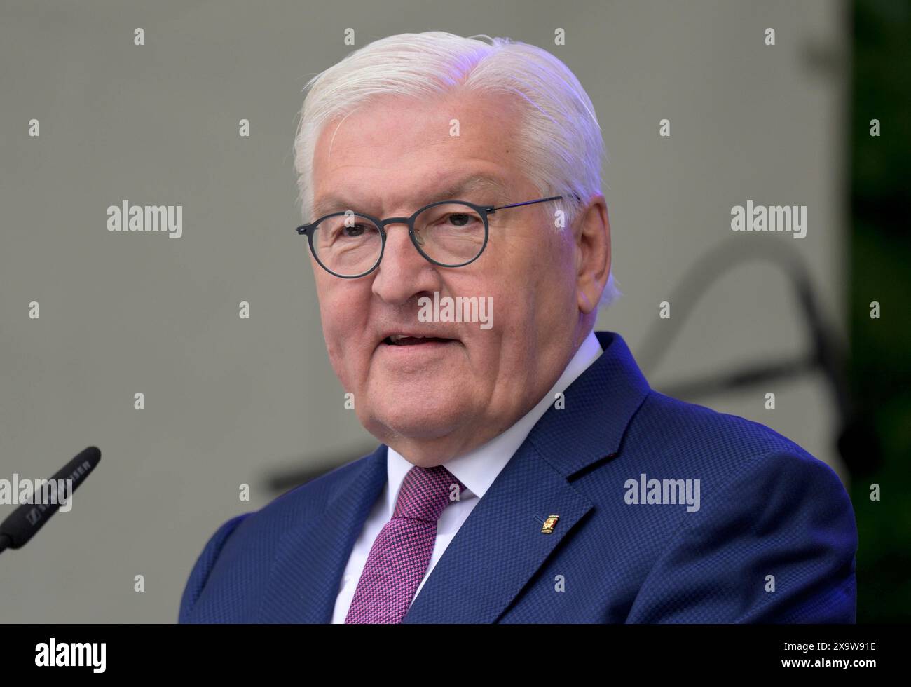 Bundespraesident Frank-Walter STEINMEIER haelt eine Rede beim Fest zum 75. Geburtstag des Grundgesetzes in der Villa Hammerschmidt a Bonn , 25.05.2024 Frank-Walter STEINMEIER , Presidente della Germania , 25.05.2024 *** il Presidente tedesco Frank Walter STEINMEIER tiene un discorso in occasione della celebrazione del 75° anniversario della legge fondamentale presso la Villa Hammerschmidt di Bonn , 25 05 2024 Frank Walter STEINMEIER , Presidente della Germania , 25 05 2024 Foto Stock