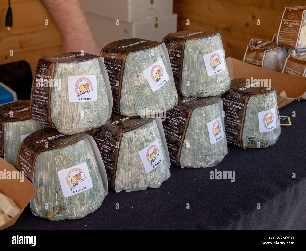 OVIEDO, SPAGNA - 10 MAGGIO 2024: Formaggio tradizionale Afuega'l pitu con muffa nella giornata della Fiera dell'Ascensione a Oviedo, Asturie, Spagna. Foto Stock