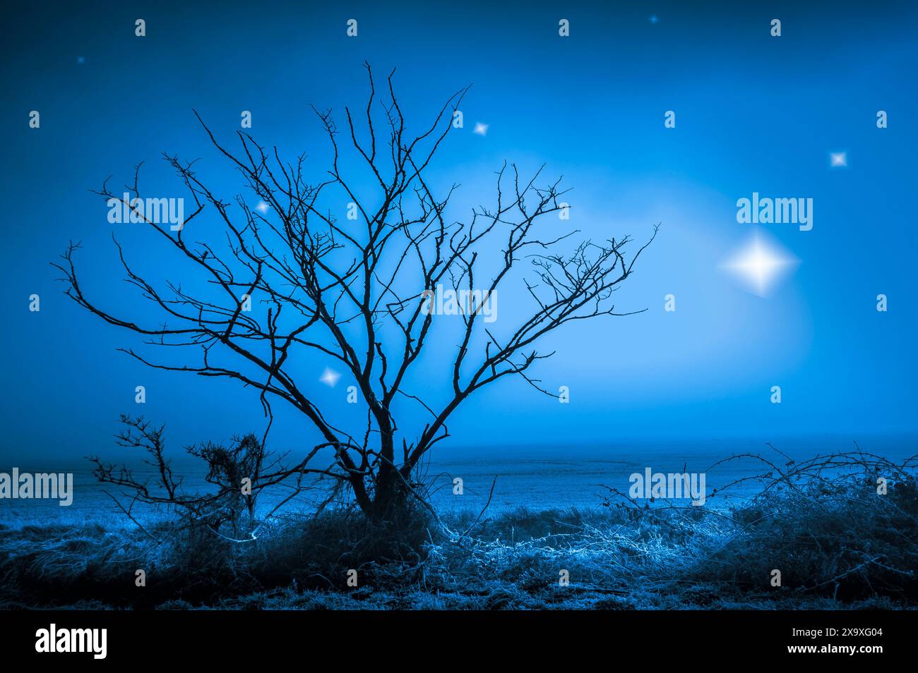 Gli UFO appaiono su un campo nebbioso. Foto Stock