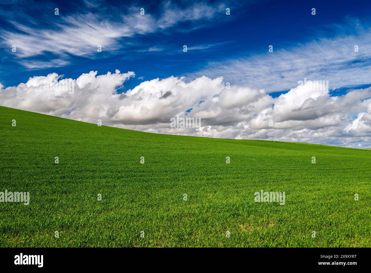 Paesaggio collinare ondulato, Castiglia e León, Spagna Foto Stock