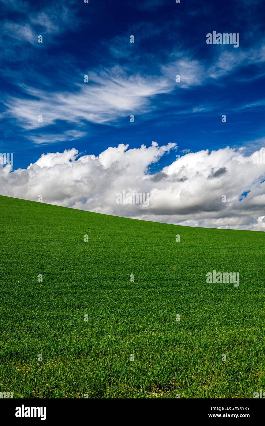 Paesaggio collinare ondulato, Castiglia e León, Spagna Foto Stock