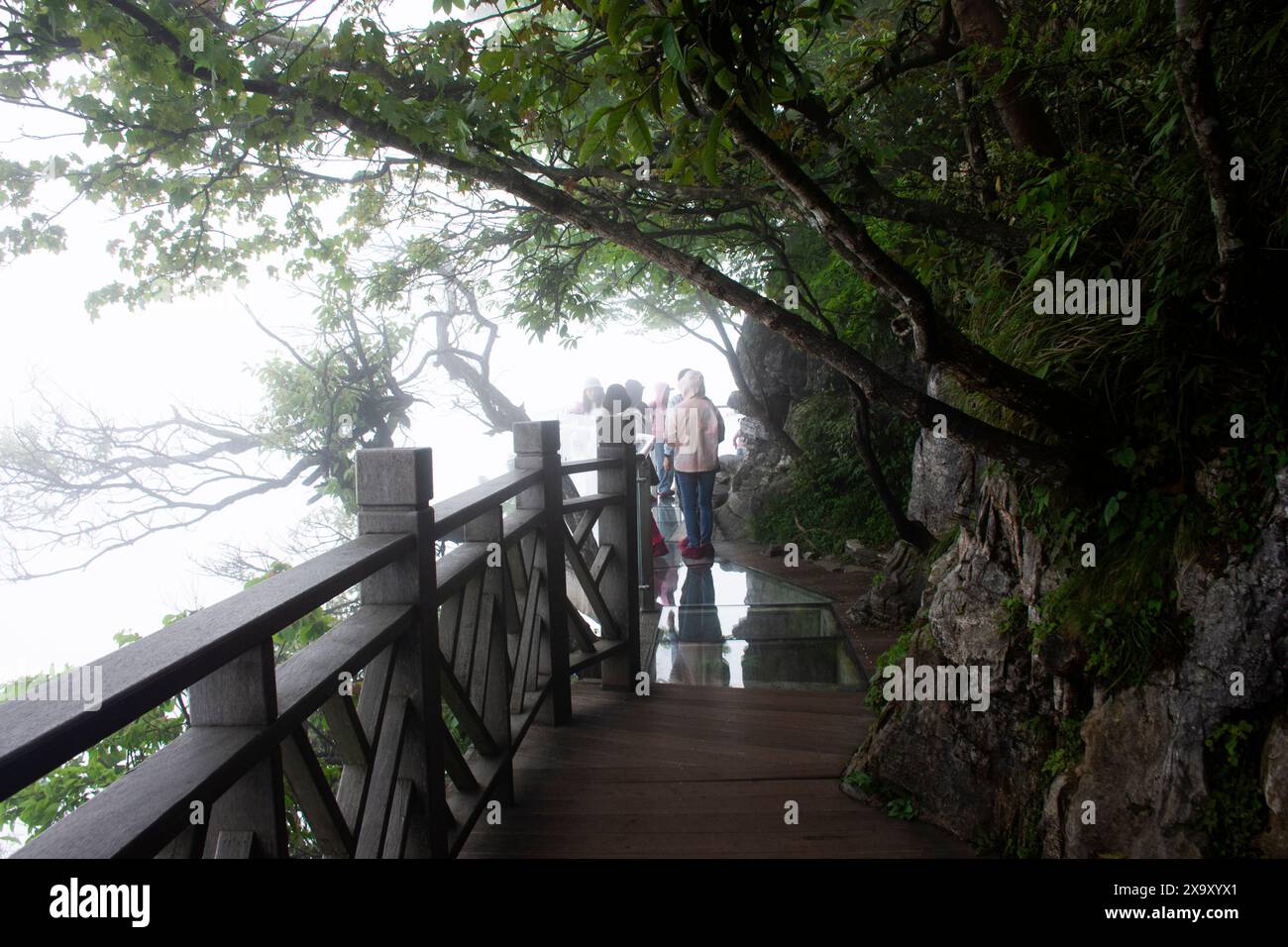 Glass Walkway o Grand Canyon Skywalk a picco sulla scogliera nel Tianmen National Forest Park per i cinesi i viaggiatori stranieri viaggiano a piedi durante la nebbia Foto Stock