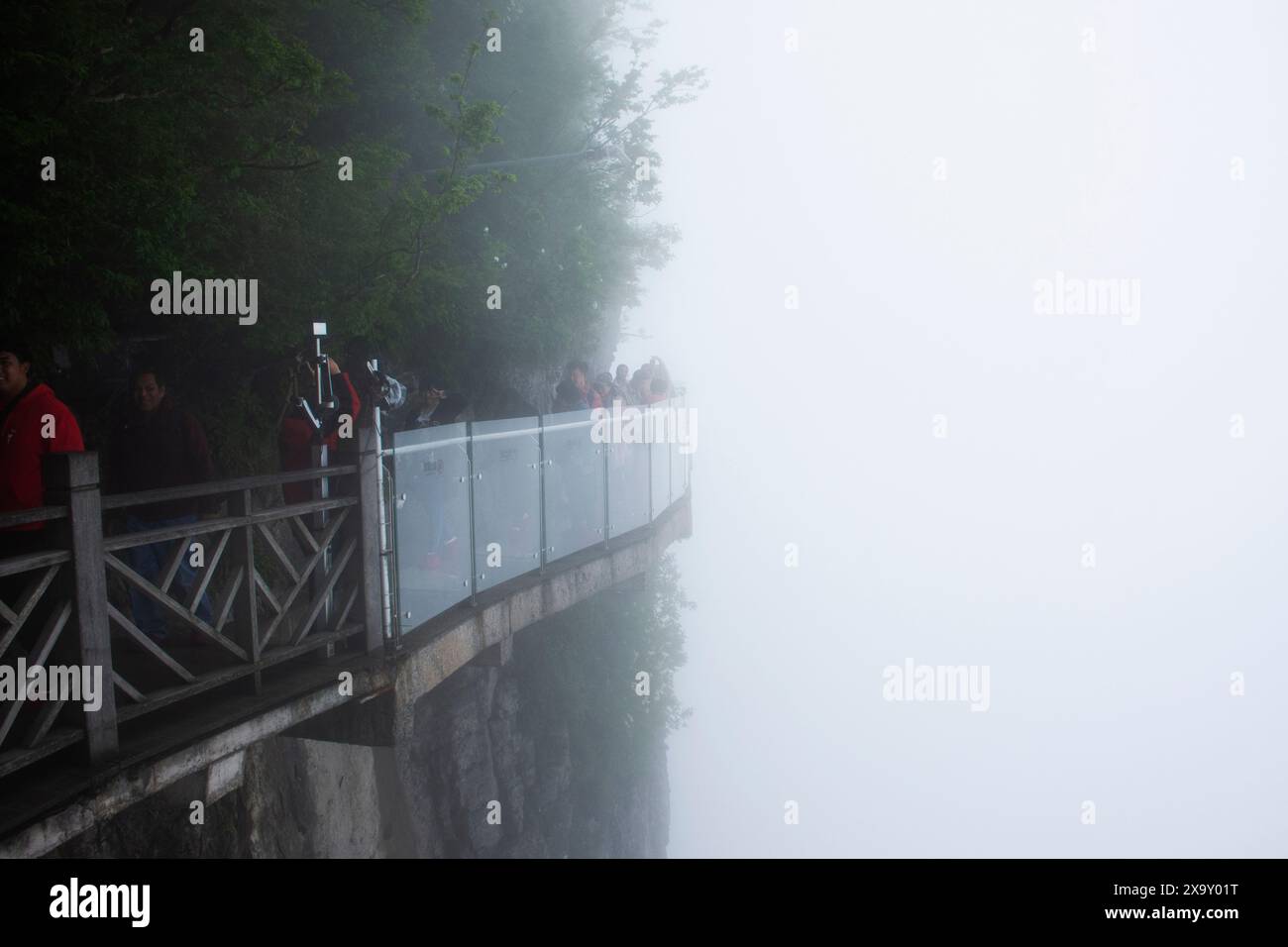 Glass Walkway o Grand Canyon Skywalk a picco sulla scogliera nel Tianmen National Forest Park per i cinesi i viaggiatori stranieri viaggiano a piedi durante la nebbia Foto Stock