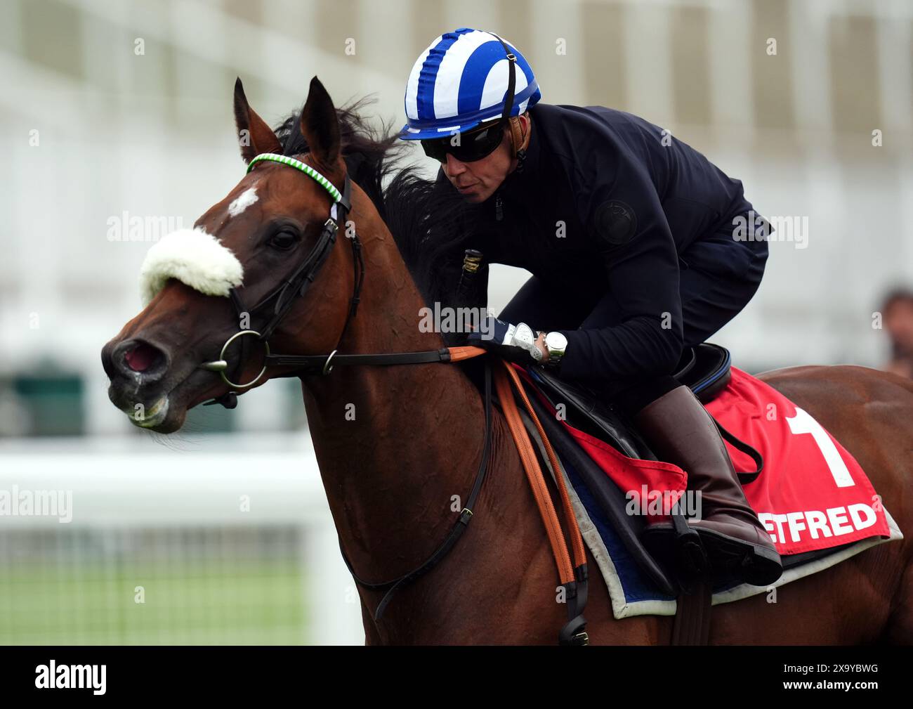 Foto del file datata 21-05-2024 di Deira Mile, che potrebbe essere indirizzata verso il Dubai Duty Free Irish Derby dopo la sua quarta prestazione nell'Epsom Classic. Data di pubblicazione: Lunedì 3 giugno 2024. Foto Stock