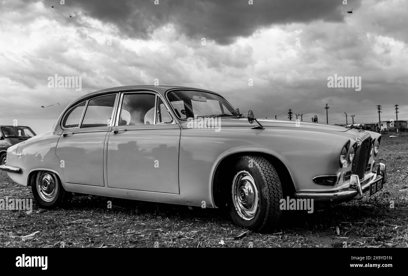 Un'auto d'epoca parcheggiata su erba accanto a auto d'epoca a Iasi, in Romania Foto Stock