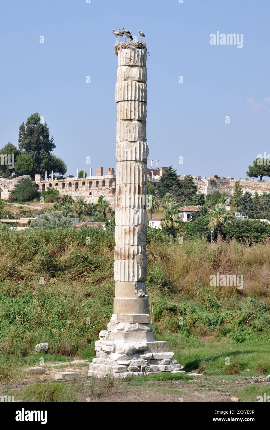 Resti del Tempio di Artemide e delle cicogne nidificanti vicino a Efeso, Selcuk, provincia di Smirne, Turchia Foto Stock