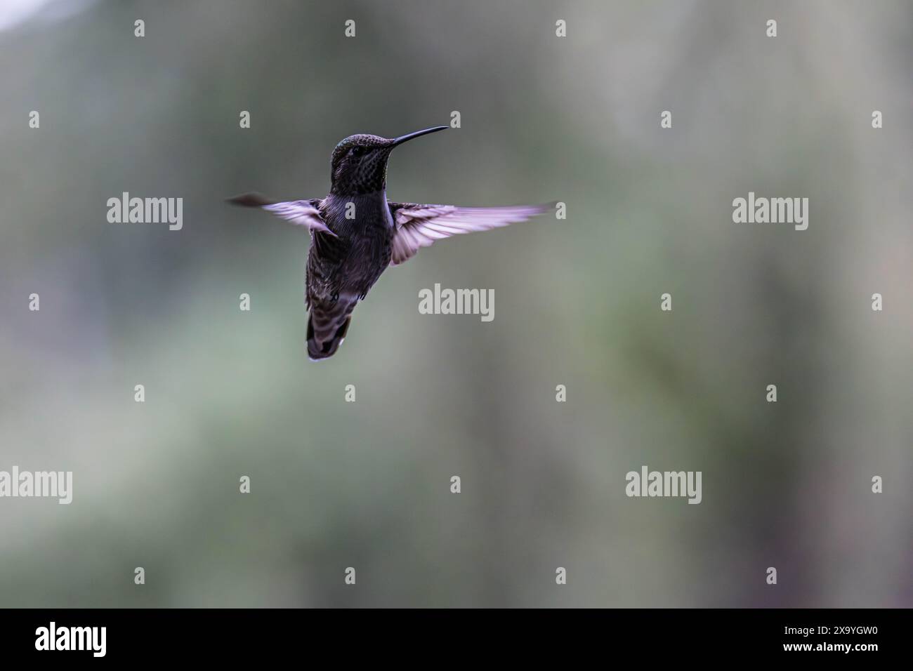 Ghiaccio Istantaneo Sintetico In Sacchetto Di TNT - Hospital Service - Foto 5