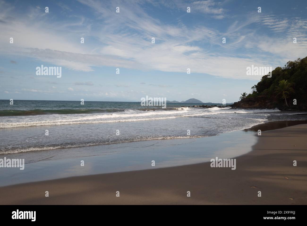 Una tranquilla spiaggia con alberi e dolci onde che lambiscono la riva Foto Stock