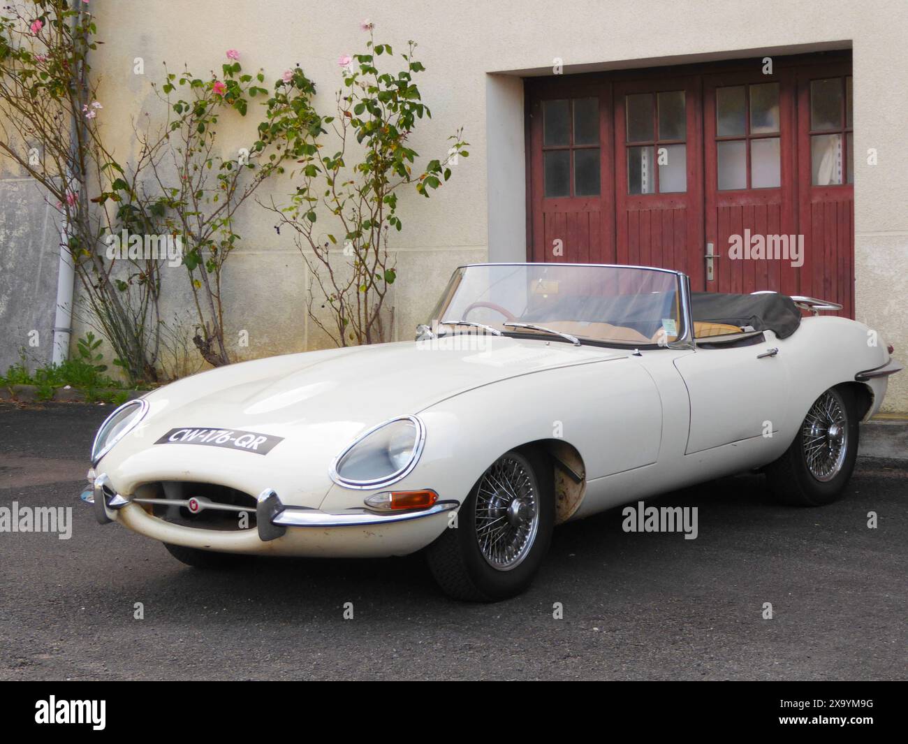 Roadster jaguar convertibile e TYPE Foto Stock