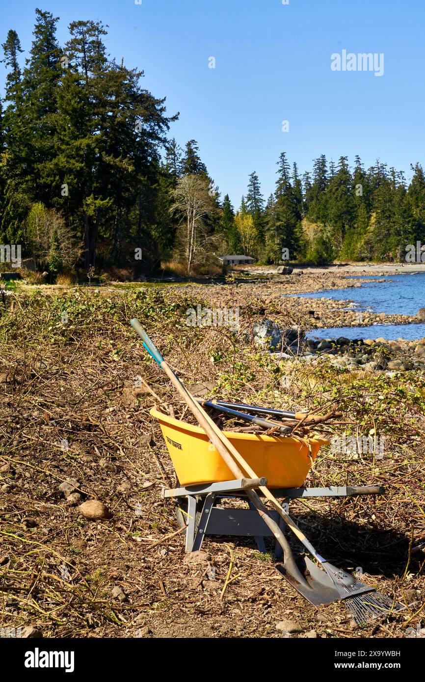 Pulizia primaverile, un tumulo giallo con una pala e un rastrello per erba e dei clipper sul terreno appena sgombrato vicino a una spiaggia oceanica Foto Stock