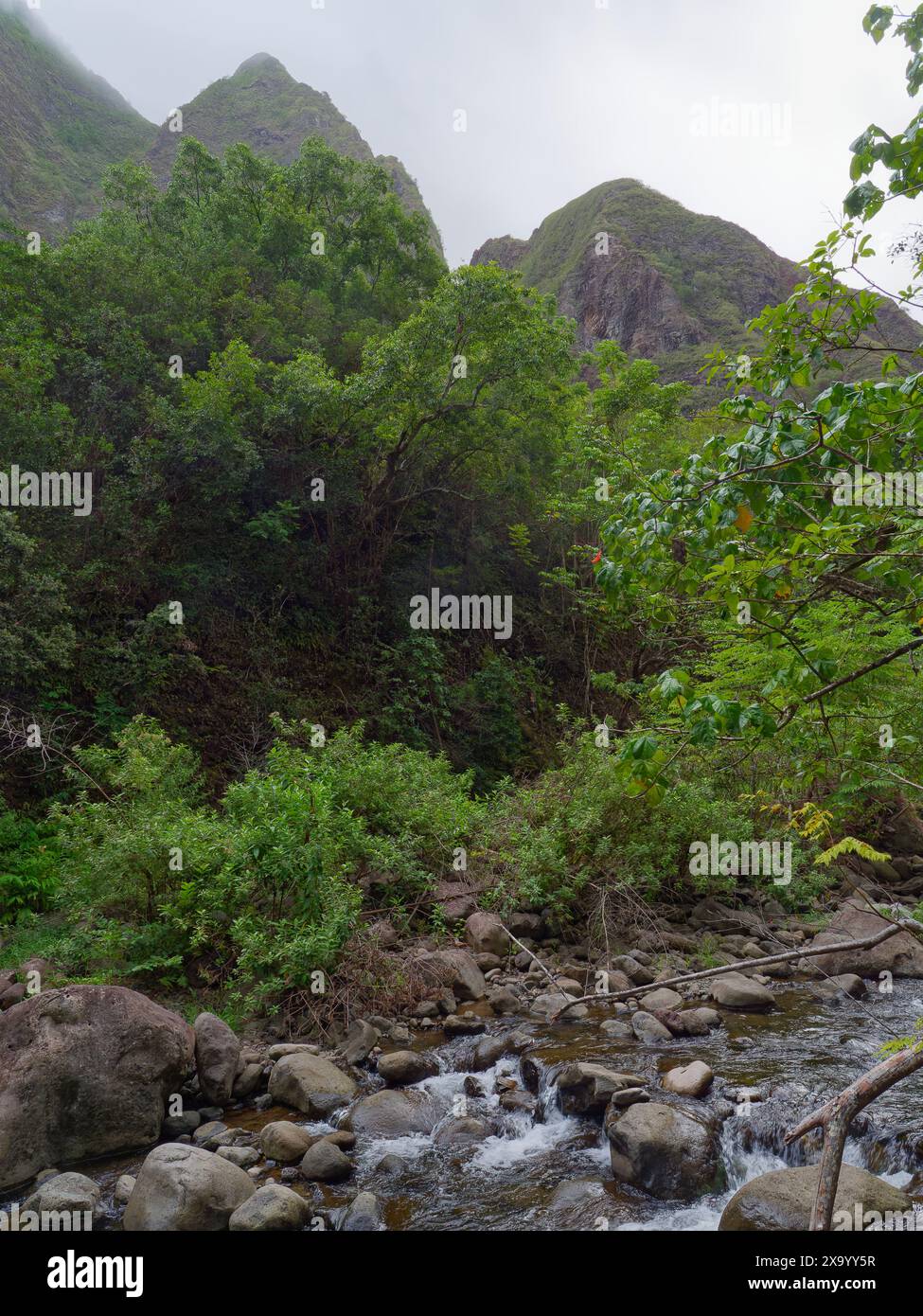 Iao Valley State Monument sull'isola di Maui, Hawaii, Stati Uniti. Foto Stock