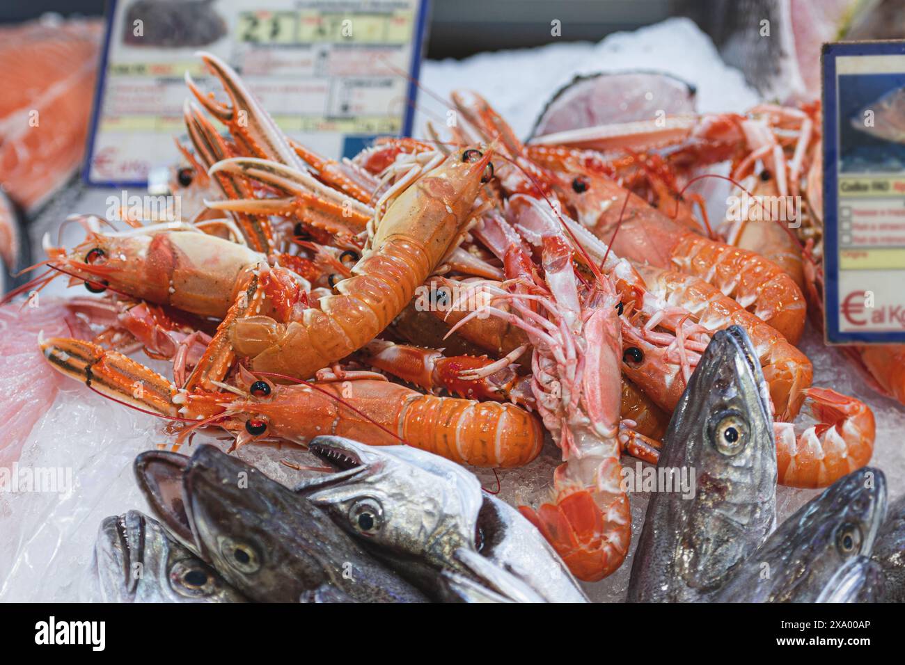 Scampi freschi, piatto a base di pesce che include varie preparazioni di alcuni crostacei, in particolare langoustine, gamberi o gamberetti in un negozio di pesce, mercato Foto Stock