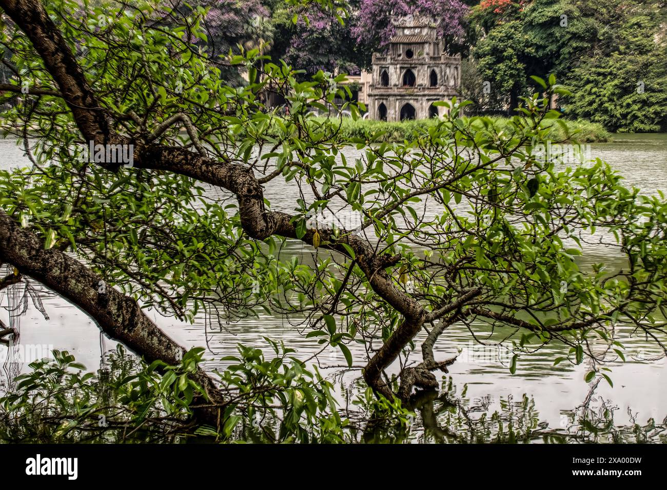 Accattivante, sorprendente, mozzafiato, avvincente, eccellente, gloriosa e intrigante Torre delle tartarughe imperdibili nel lago Hoan Kiem, città vecchia di Hanoi, Vietnam Foto Stock