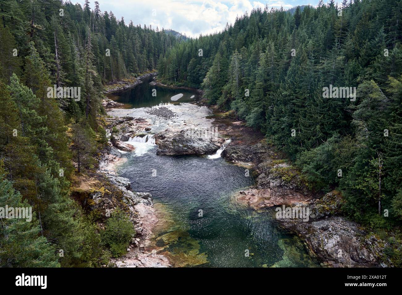 Vista da un ponte di un letto roccioso di fiume con un vivace fiume verde blu che corre tra le rocce circondato da una fitta foresta verde. Foto Stock