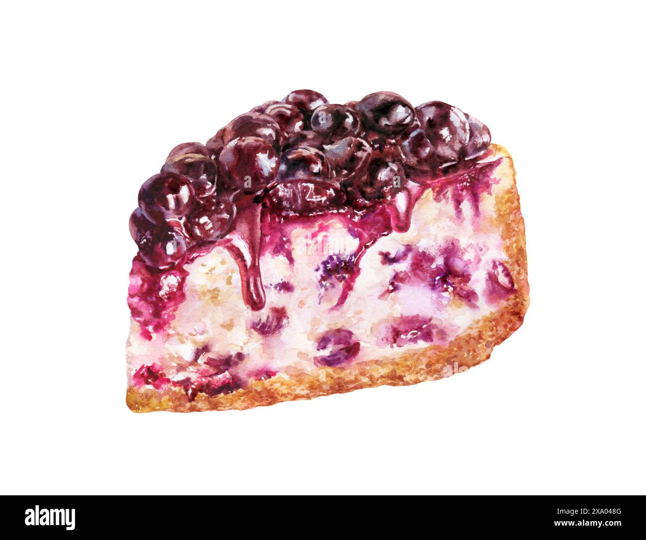 Illustrazione ad acquerello dipinta a mano di una deliziosa cheesecake ai mirtilli, perfetta per confezionare, menu o carte. Isolato su un fondo bianco nitido Foto Stock Illustrazione ad acquerello dipinta a mano di una deliziosa cheesecake ai mirtilli, perfetta per confezionare, menu o carte. Isolato su un fondo bianco nitido Foto Stock