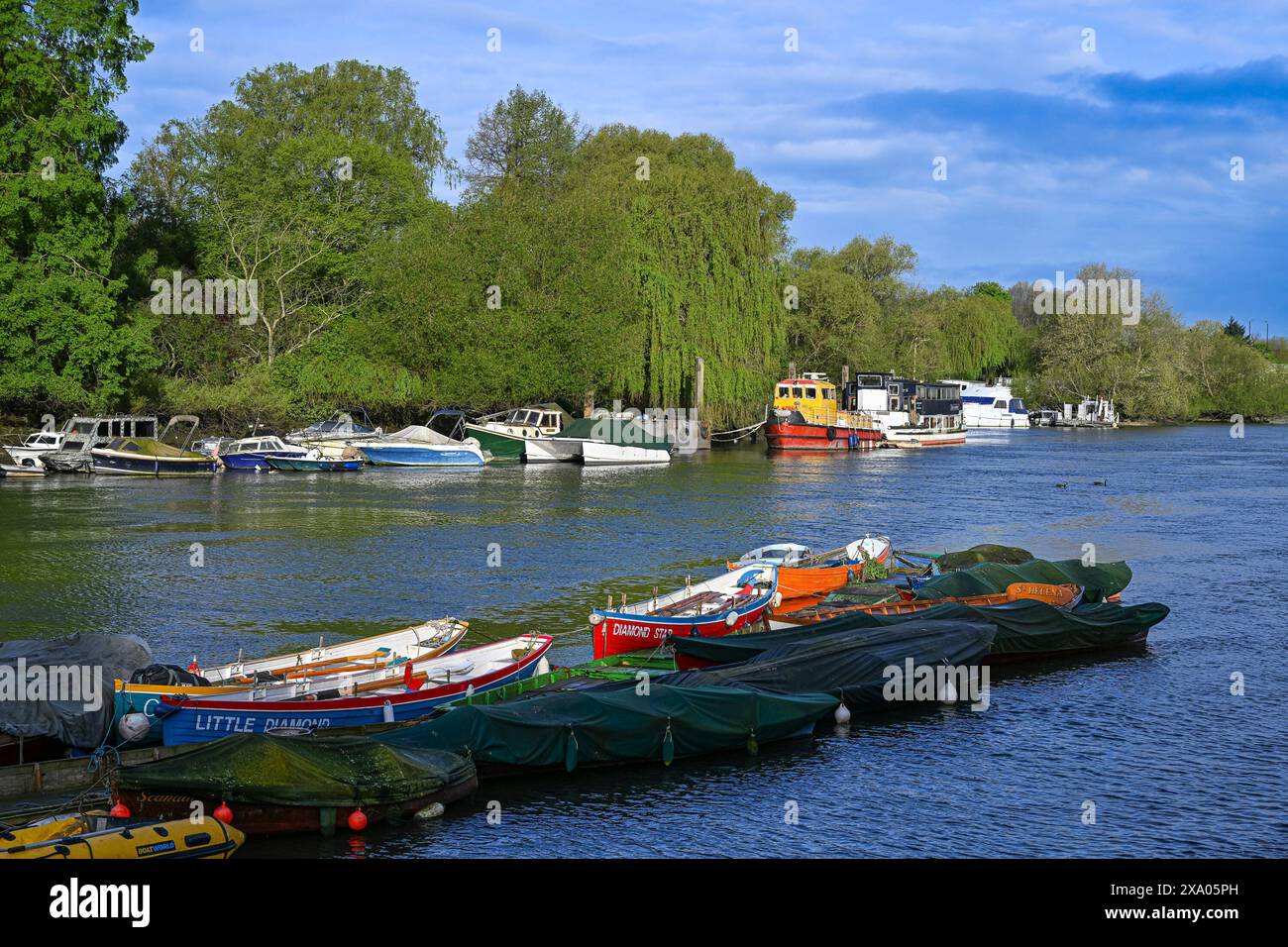 Barche ormeggiate lungo il Tamigi, Richmond, Greater London, England, U. K Foto Stock