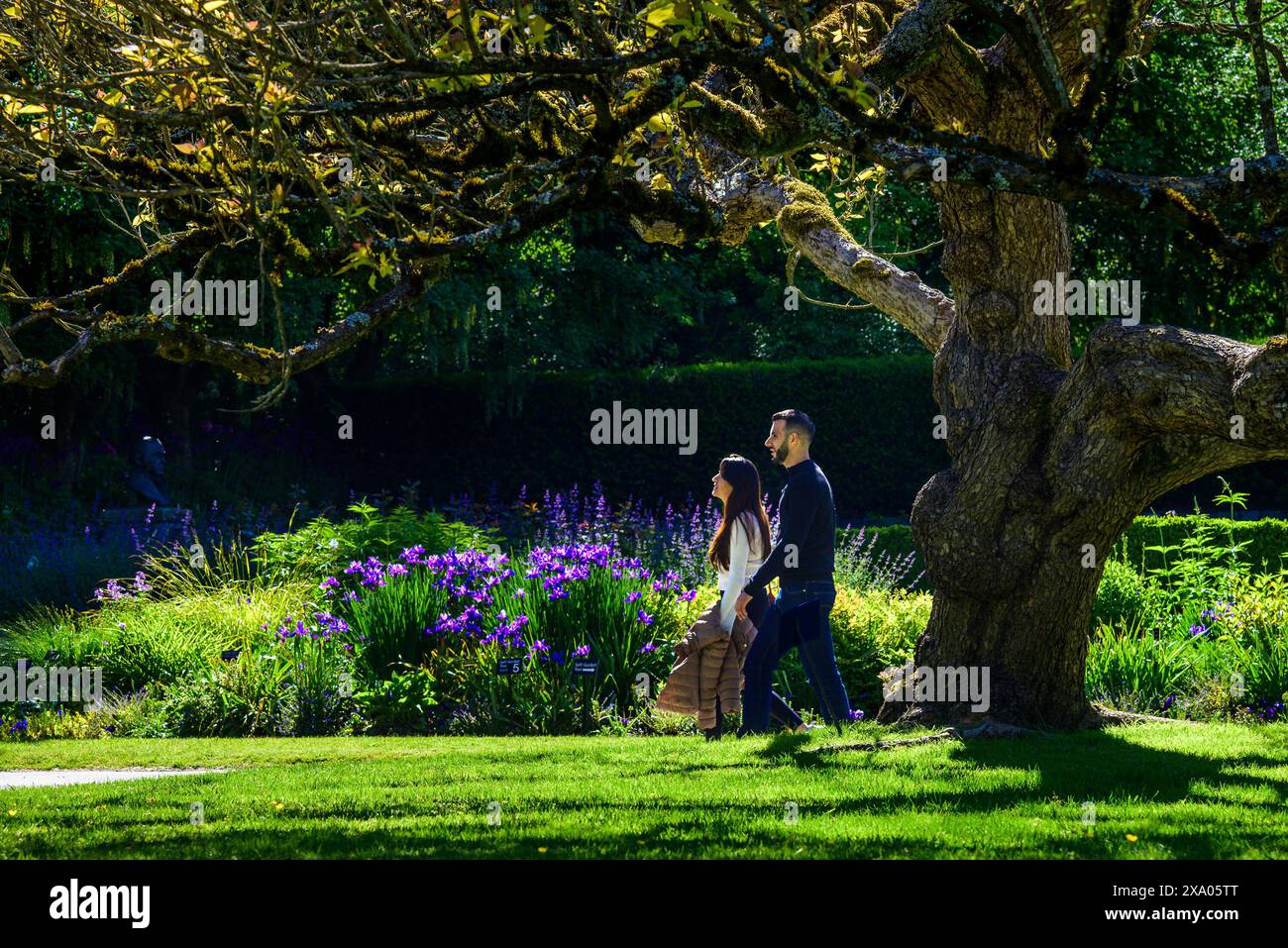 Una coppia passeggiando attraverso il giardino botanico VanDusen in primavera, Vancouver, British Columbia, Canada Foto Stock