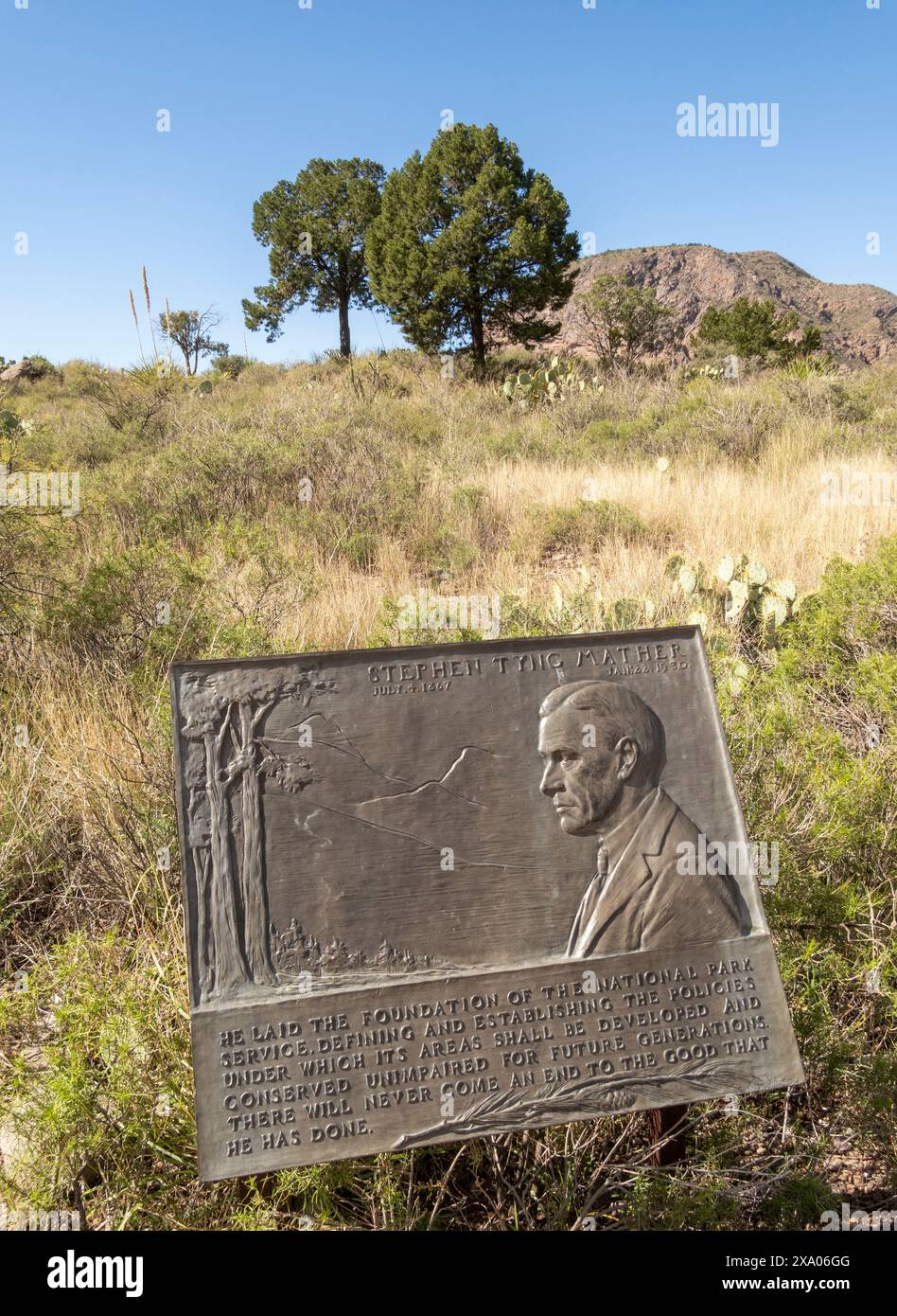 Texas, Big Bend National Park, Chisos Mountains, targa commemorativa per Stephen Tyng Mather, fondatore del National Park Service Foto Stock